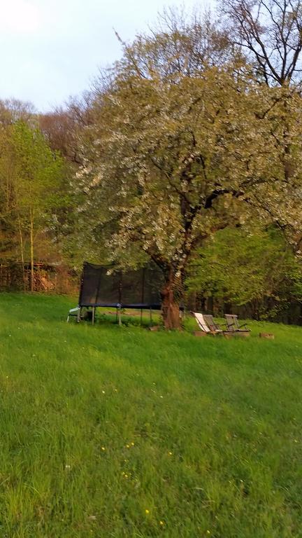 Im Park Wachwitzgrund - Grosse In Eg Der Appartement