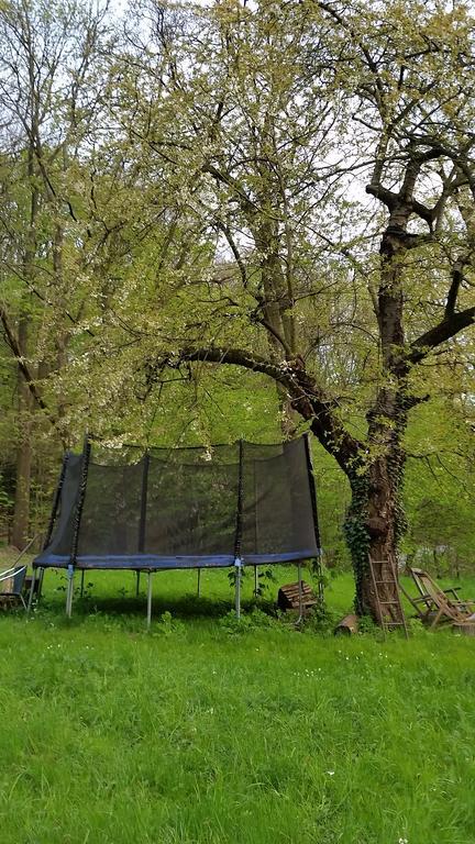 Im Park Wachwitzgrund Apartment